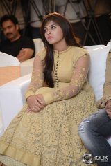 Geethanjali Movie Success Meet